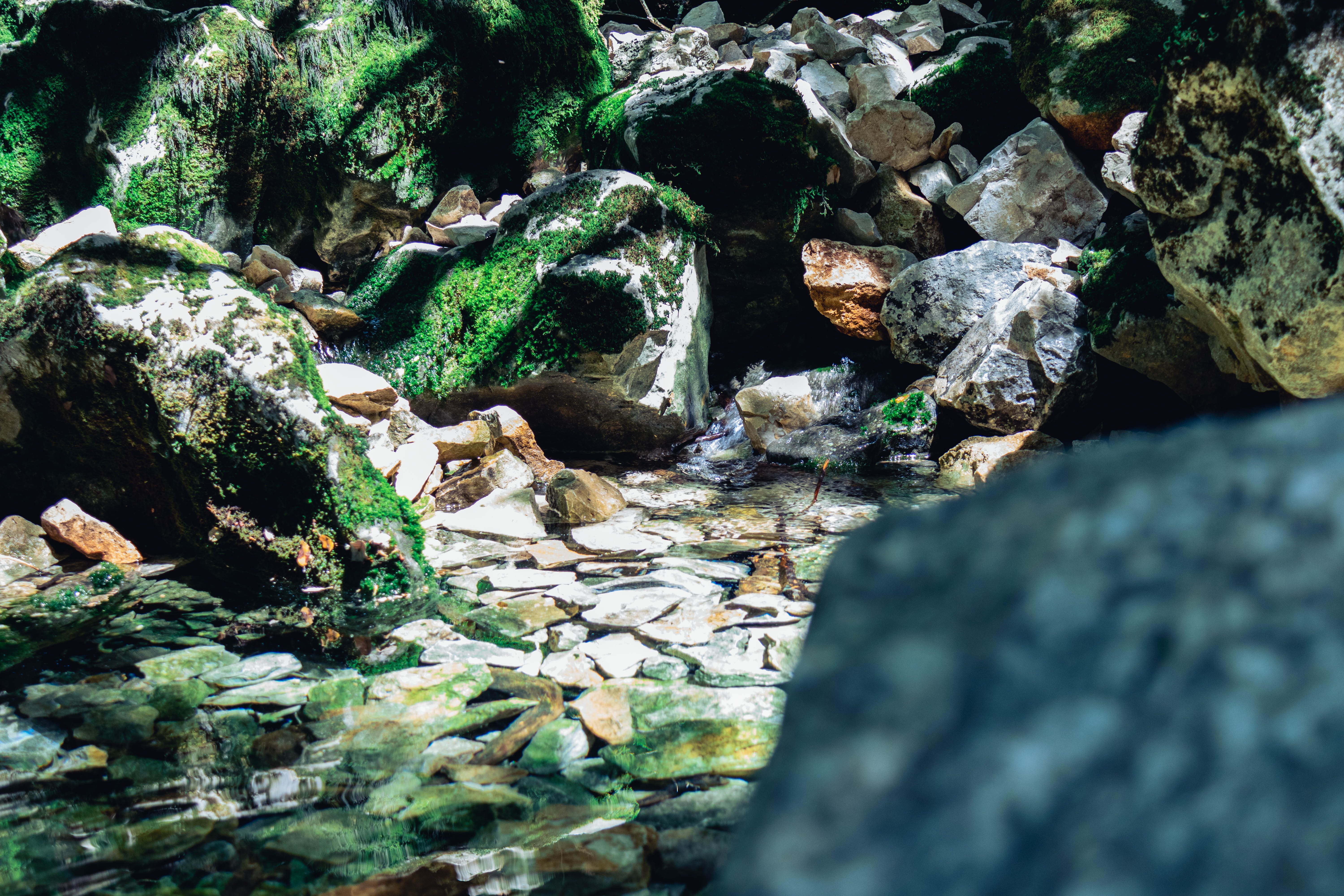 Moss-covered rocks at the edge of a stream